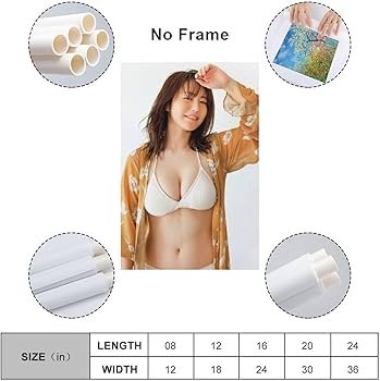 Amazon.co.jp: 磯山さやか写真集巨乳セクシー水着ポスター (45) アート
